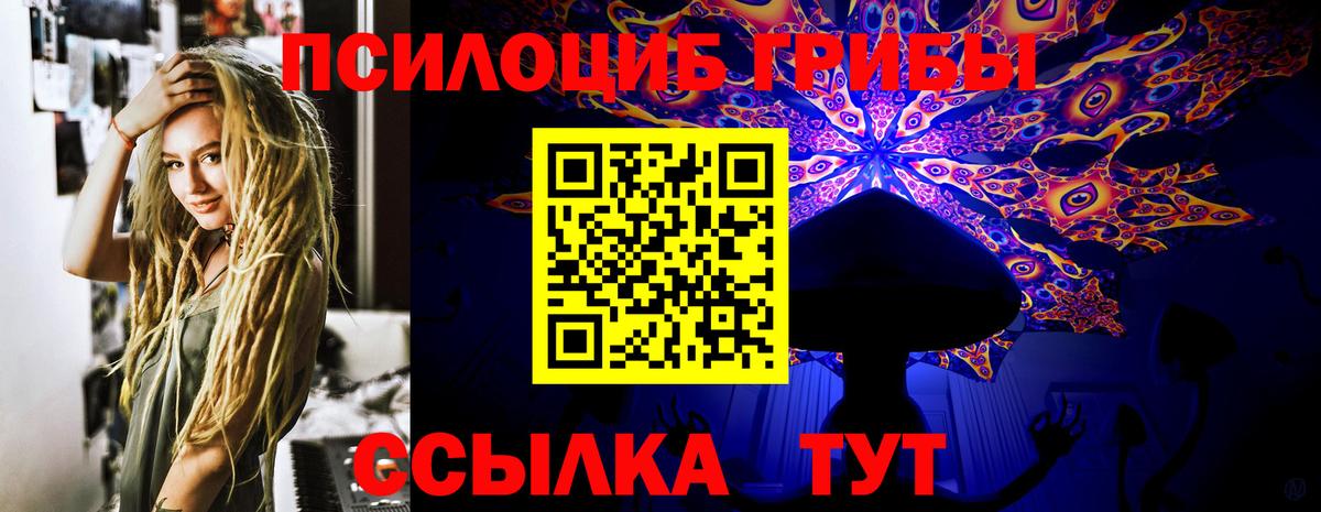 Балахна  Галлюциногенные грибы GOLDEN TEACHER  Псилоцибиновые грибы Psilocybine cubensis  Вход с VPN 